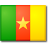 flags