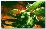Lineage 2 Essence